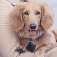 Load image into Gallery viewer, Tracmo Bluetooth Key Finder Locator Item with APP for Phones Smart Alarm Tracker Waterproof Compatible with Smart Home Device for Kids Pets Luggage Wallet Patient Battery Replaceable 1Pack (Black)